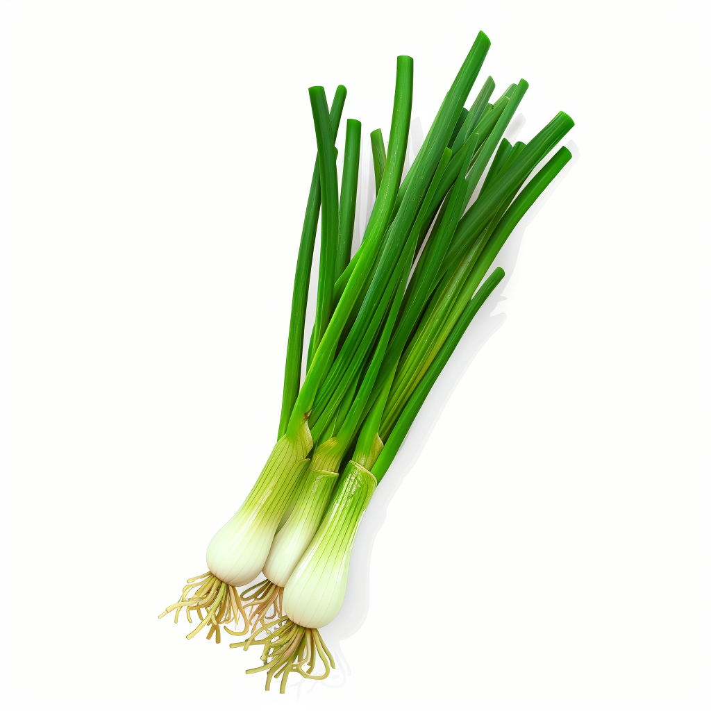 Oignon vert (Ciboule, cébette, cive)